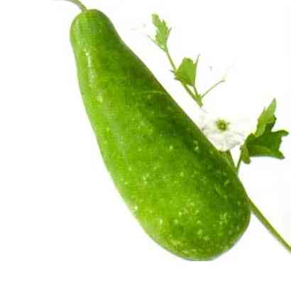 Bottle gourd (Lau Big)